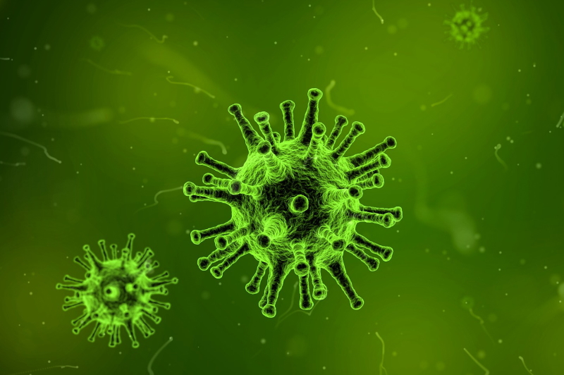 ウイルスの細胞構造と増殖：新型コロナウイルス感染症の基礎から臨床