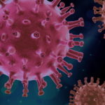 ７種類のコロナウイルス