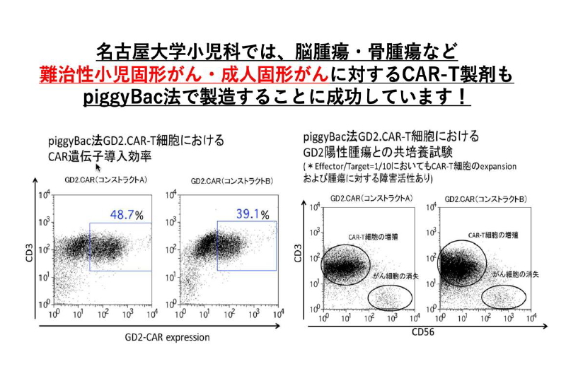 名古屋大学における非ウイルスベクター法によるCAR-T療法の現状